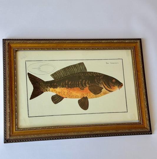 Antique print