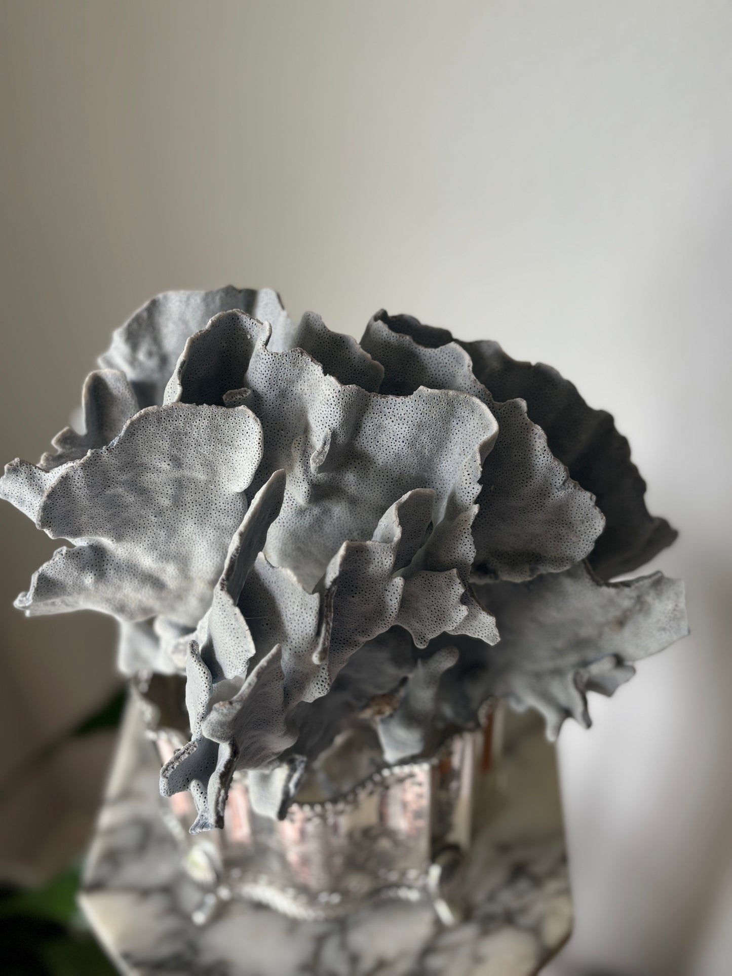 Blue coral