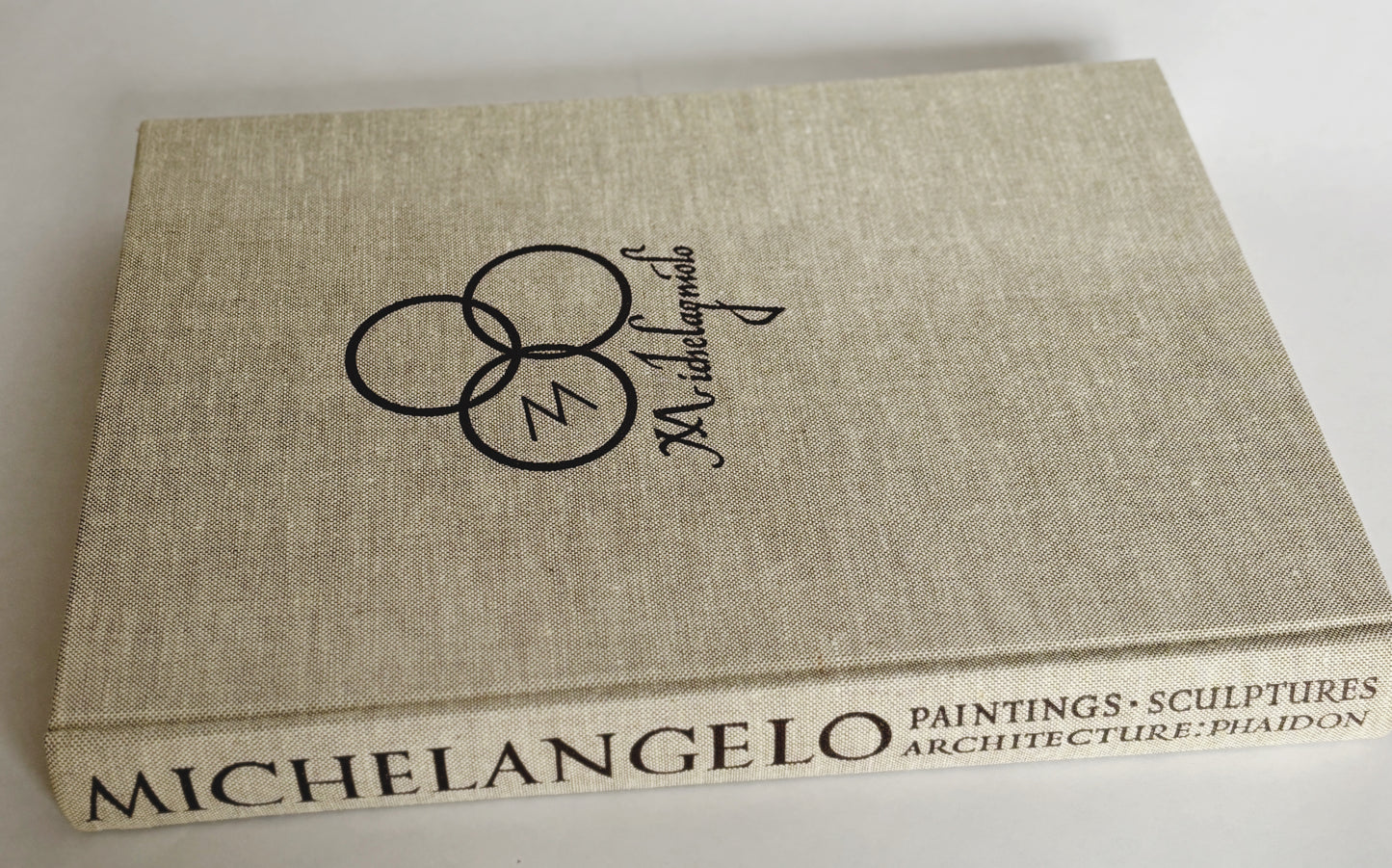 Vintage Michelangelo book