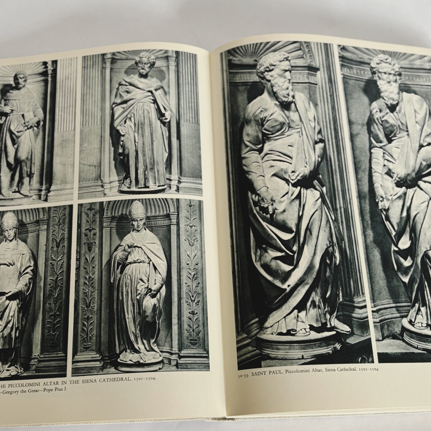 Vintage Michelangelo book