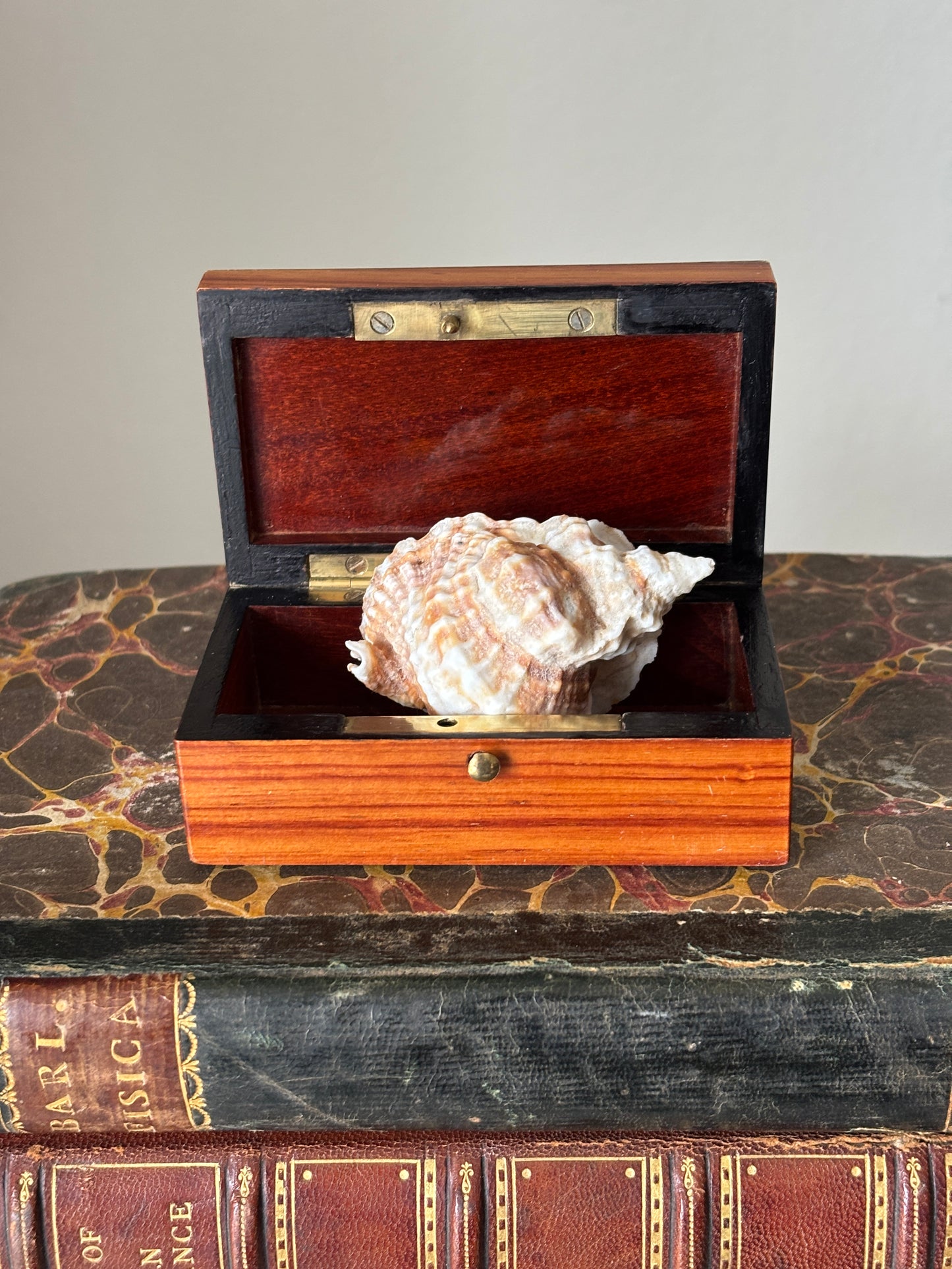 Antique Rosewood marquetry box